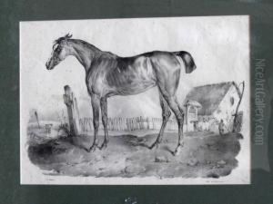 Cheval Au Paddock.