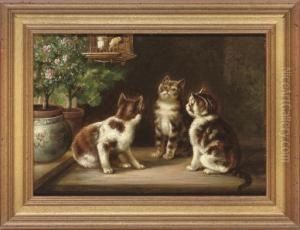 Watching The Birds by Victor Adam