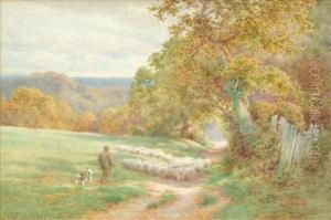 Herding The Flock by Charles James Adams