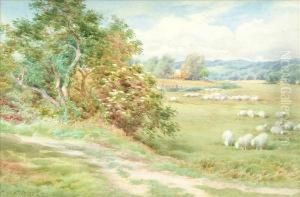 Sheep Grazing by Charles James Adams