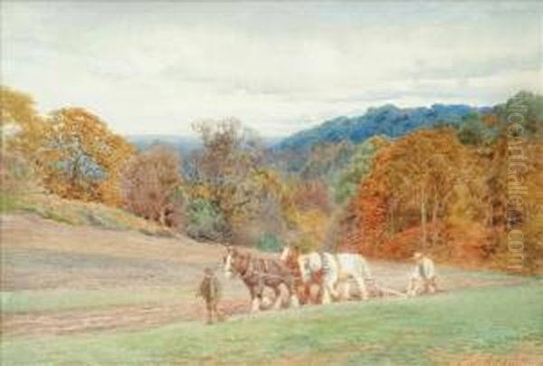 The Plough Team - view 1