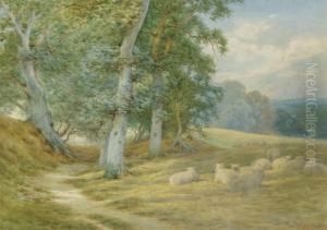 Herding Sheep Along A Surrey 
Lane In Autumn; And Sheep Resting By A Woodland Path (illustrated) by Charles James Adams