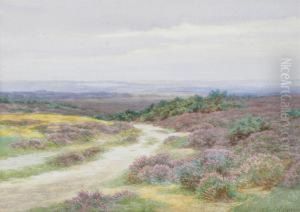 On The Fringe Of The Moor by Charles James Adams