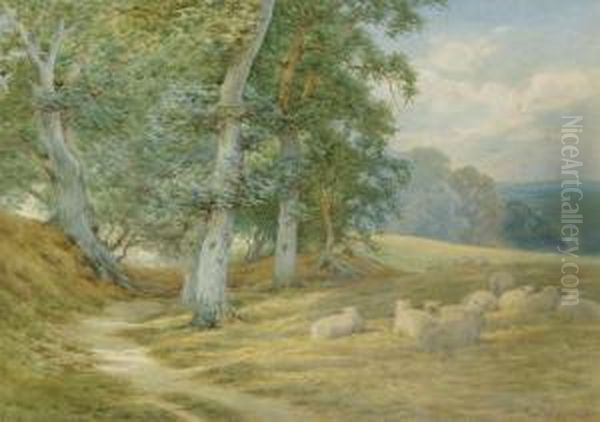 Herding Sheep Along A Surrey Lane In Autumn - view 1