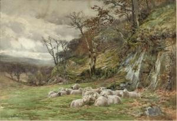 Sheltering From The Storm - view 1