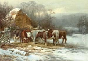 Cattle Warming Themselves On A Summer's Day