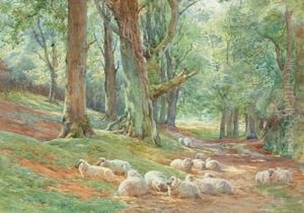 Sheep Resting In A Woodland Clearing, And Another Similar Of Sheep In A River Landscape - view 1