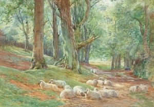 Sheep Resting In A Woodland Clearing, And Another Similar Of Sheep In A River Landscape by Charles James Adams