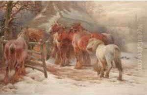 Winter Feed