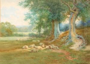Sheep Resting Beneath The Trees; And Feeding The Sheep by Charles James Adams