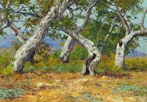 California Oak Groves by Charles Partridge Adams