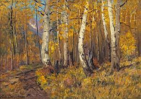 A Path Through The Aspens - view 1