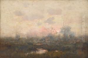 Marsh At Dusk
