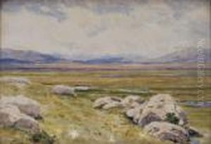 Vast Landscape