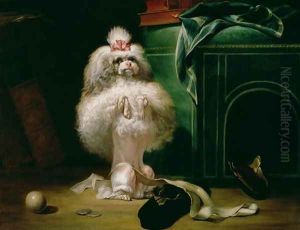 A Dog of the Havannah Breed 1768 by Jean Jacques Bachelier
