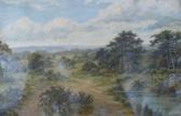 Landscape - view 1