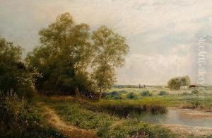 The Hayfield