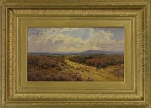 Schafherde Auf Weg In Weiter Landschaft by John Clayton Adams