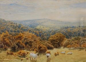 Sheep Grazingin An Extensive Landscape by John Clayton Adams