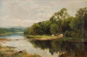Cattle On Thebanks Of A River