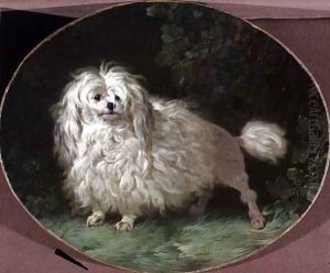 Portrait of a Poodle