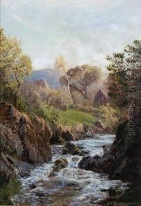 Mountain Stream by John Clayton Adams