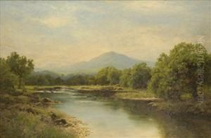 Cattle In Anupland River Landscape by John Clayton Adams
