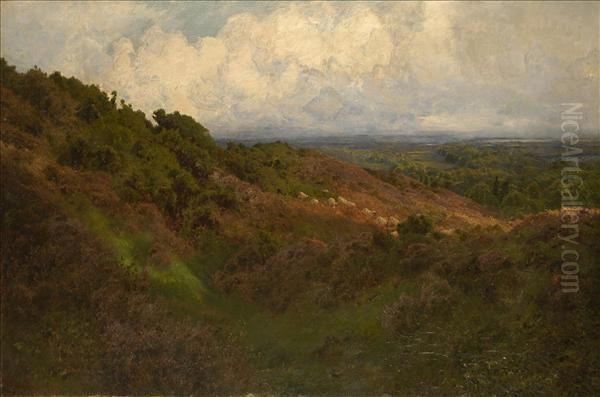 Extensivesummer Landscape - view 1