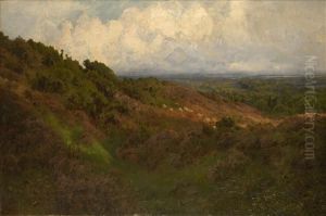 Extensivesummer Landscape by John Clayton Adams