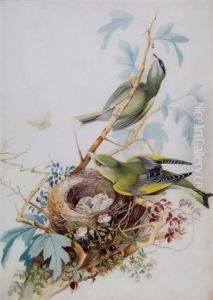 Two Finches Perched On A Berried Branch by John Clayton Adams