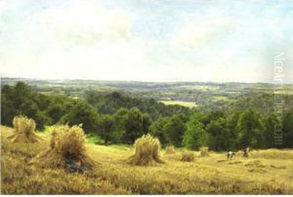 Haystacks In Sussex - view 1