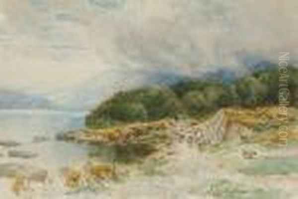 Herding Sheep - view 1