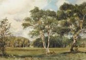 Parkland, Possibly Rathfarnham