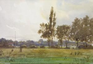 Landscape With View Of Tennis Game, Through Trees