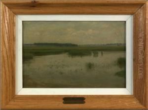 Marsh Scene
