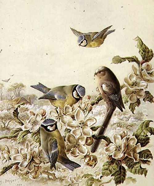 Orchard Robbers, 1889 - view 1