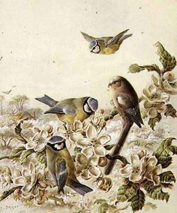 Orchard Robbers, 1889 by Henry Bright