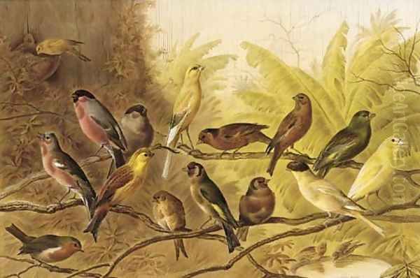 A chorus of song birds in an aviary - view 1