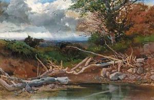 A pond in a wooded landscape by Henry Bright