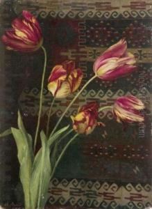 Tulipes Tulipes