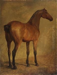 Cheval, Vu De Trois-quarts A Droite by Jacques Laurent Agasse