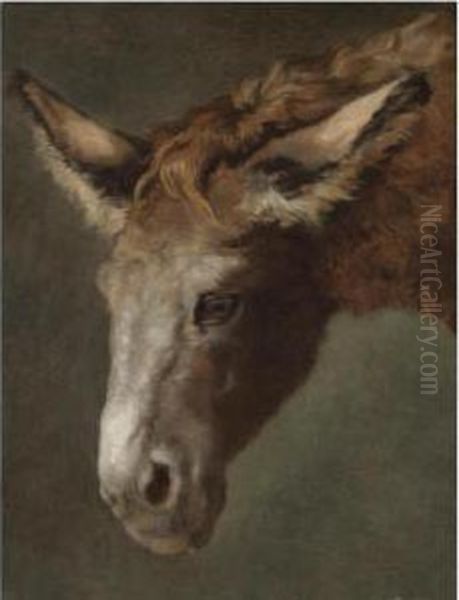 A Study For The Head Of A Donkey - view 1