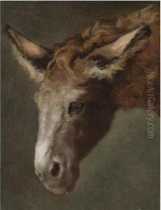 A Study For The Head Of A Donkey by Jacques Laurent Agasse