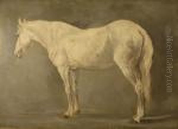 Portrait Of A Horse - Cheval Pommele Gris - view 1