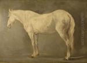 Portrait Of A Horse - Cheval Pommele Gris by Jacques Laurent Agasse
