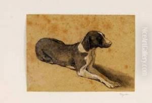 Etude D'un Braque Etude D'un Braque