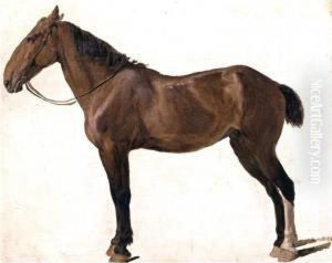 Portrait Of A Horse by Jacques Laurent Agasse