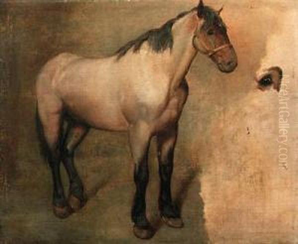 Study Of A Bay Horse - view 1