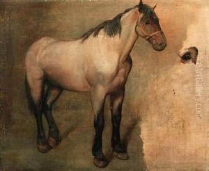 Study Of A Bay Horse by Jacques Laurent Agasse