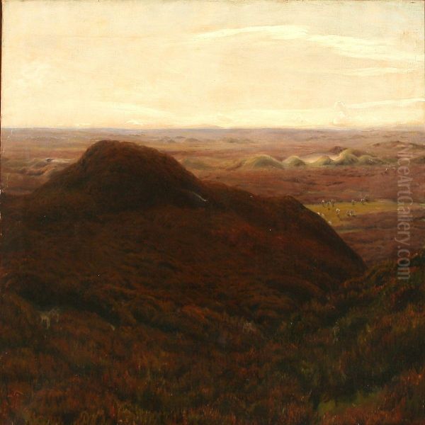 Moor Landscape Withgrazing Sheep - view 1